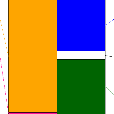 カネコ種苗(証券コード:1376)の貸借対照表