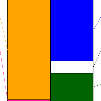 アミタホールディングス(証券コード:2195)の貸借対照表