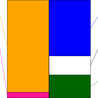 石井食品(証券コード:2894)の貸借対照表