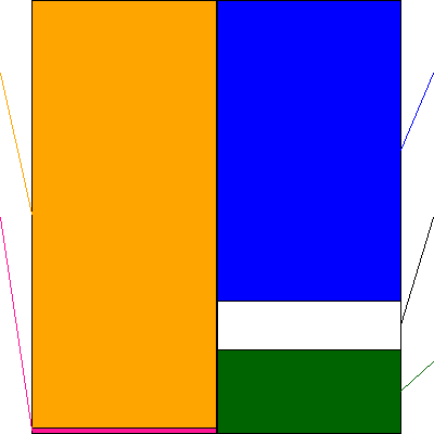 パシフィックネット(証券コード:3021)の貸借対照表