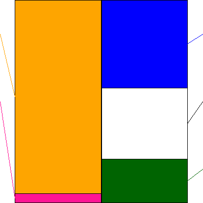 ＦＩＧ(証券コード:4392)の貸借対照表