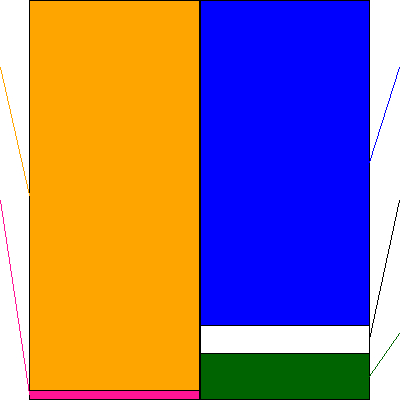 日本ホスピスホールディングス(証券コード:7061)の貸借対照表