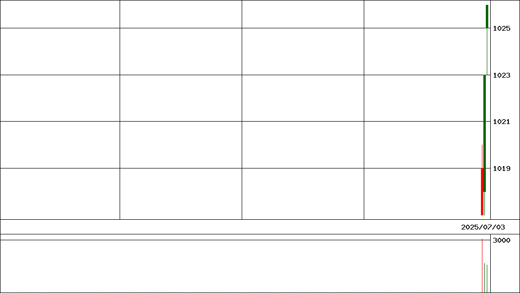 ＧＸＳＰＸプロテクト(証券コード:379A)の200日チャート