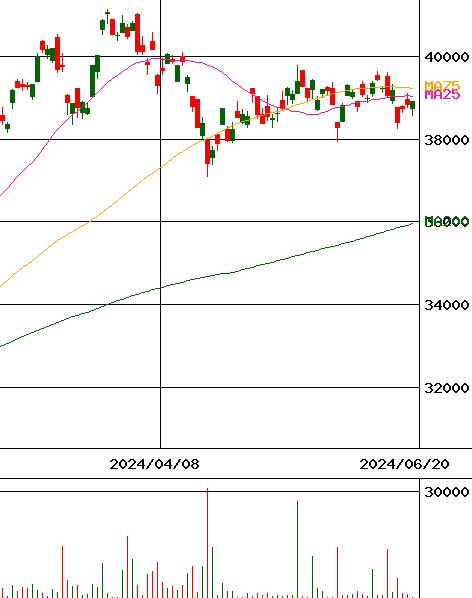 DIAM ETF 日経225(証券コード:1369)のチャート