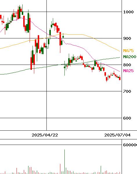 ミナトホールディングス(証券コード:6862)のチャート
